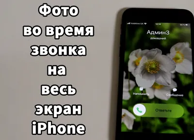 Как удалить фото контакта iPhone во время звонка на весь экран – DezZz.net