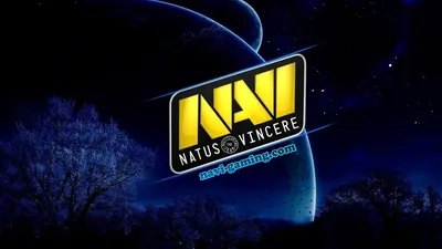 Na'Vi утвердила новый состав в дисциплине PUBG - 22 Ноября 2018 – Strong  Impact