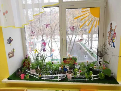 Огород на подоконнике в детском саду -