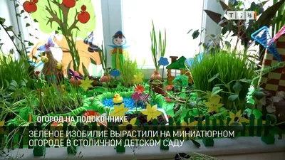 Чудо-огород на подоконнике в детском саду-2022 - МАОУ СОШ №20 г. Липецка