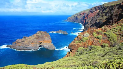 Пальма в Kona на большом острове Гаваи с полем лавы в Backgr Стоковое  Изображение - изображение насчитывающей романтично, мир: 35653349