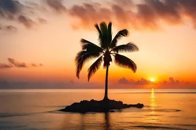 Фотообои Море пальмы и остров купить на стену • Эко Обои