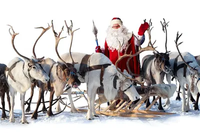 Машина по сезону: электрические сани Санта-Клауса за 1300 долларов -  Україна За кермом