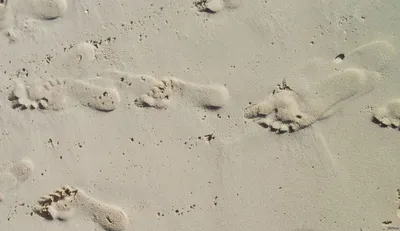 Следы на песке. | Пикабу
