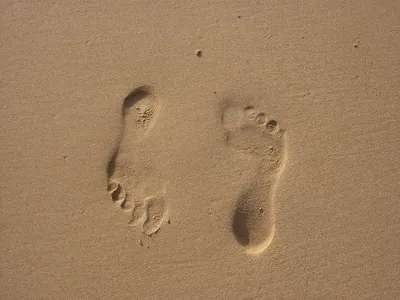 Следы на песке в 2023 г | След на песке, Пески, Пляж