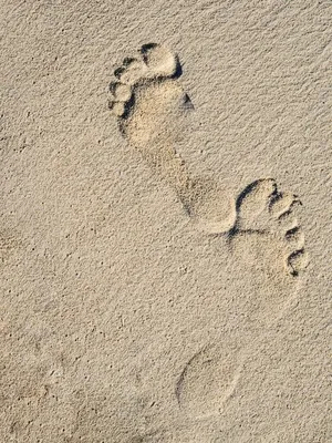 Следы на песке | Лучшая жизнь | Дзен