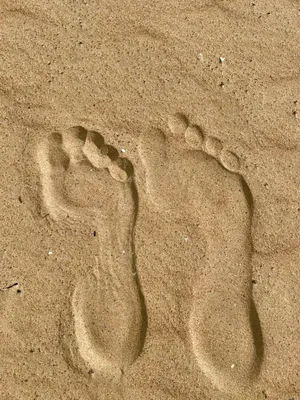 у океана есть следы ведущие из него на пляж, следы на песке картина фон  картинки и Фото для бесплатной загрузки