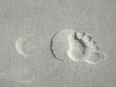 Следы на песке | Премиум Фото