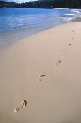 Человеческие Следы На Песке Стоковые Фотографии | FreeImages