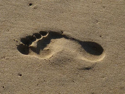 Песок Пляж Отслеживать Следы На - Бесплатное фото на Pixabay - Pixabay