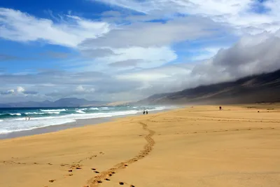 Следы на песке | Пикабу