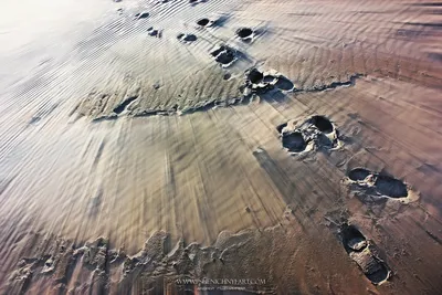 Следы черепахи в песке на пляже Стоковое Изображение - изображение  насчитывающей давление, океан: 64315529