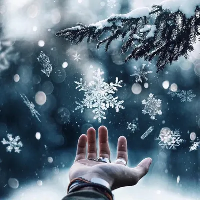 Снежинка на ладони. Snowflake on the palm. | Дина АЛДАБЕРГЕНОВА |  JollyArtViva