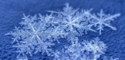 Снег в ладошках (47 фото) - 47 фото