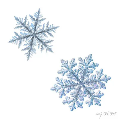 белый и синий цветочный текстиль, снежинка зима евклидово рождество,  голубая снежинка, граница, синий, текстиль png | PNGWing