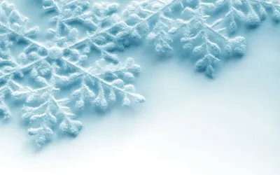 Снежинки png на прозрачном фоне для фотошопа (плюс векторный формат) |  Бесплатные рамки, Снежинки, Стразы