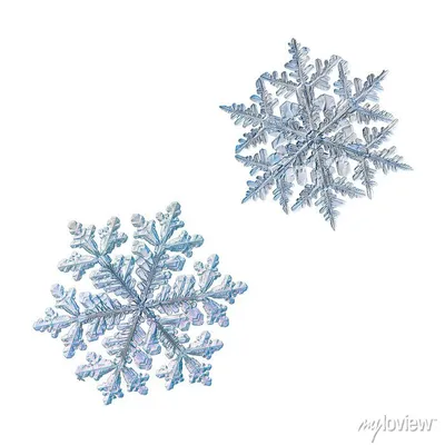Знак снежинки Синий значок снежинки, изолированный на белом фоне Снеговая  силуэт Символ снега, праздника, холодной погоды, Иллюстрация штока -  иллюстрации насчитывающей конструкция, замораживание: 162522249
