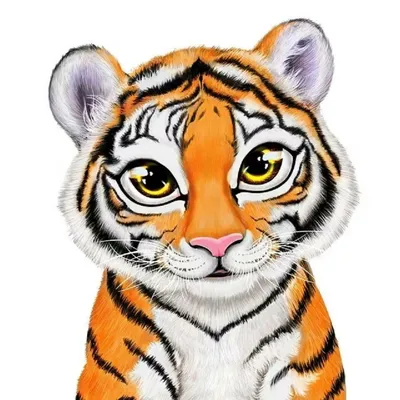 Тигр картинки рисунки - 81 фото