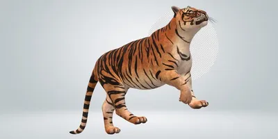 тигр дикое животное зверь PNG , тигр, дикие животные, хищник PNG рисунок  для бесплатной загрузки