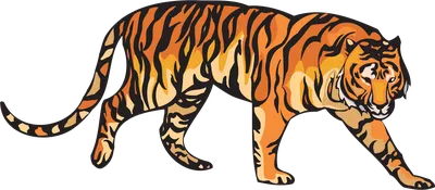 Felidae Lion Белый тигр Бенгальский тигр, лев, млекопитающее, животные,  кошка png | Klipartz