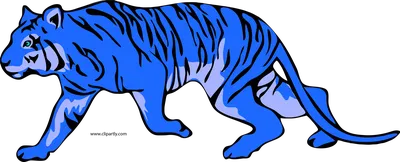 Tigre Telecharger PNG - PNG Play