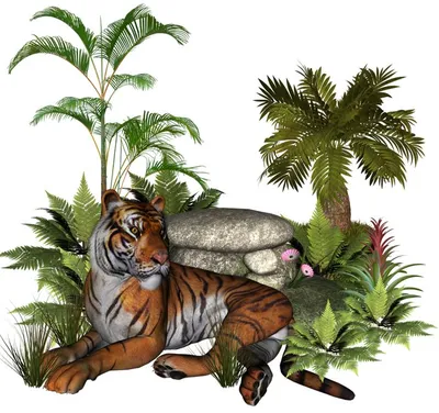 картинки с хищником - тигром png