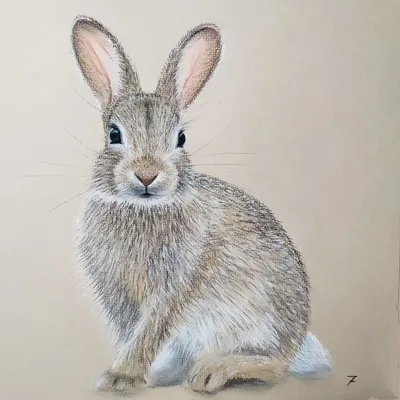Маленький пушистый серый кролик в изоляции на белом зайчике пасхи фона. Заяц,  чтобы взорвать пасхи на белом фоне Стоковое Фото - изображение  насчитывающей пасха, ангстрома: 171363098