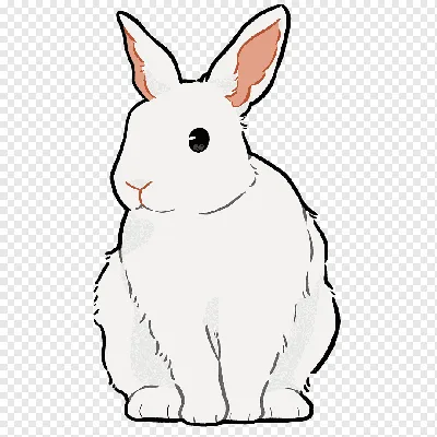 Векторный, мультяшный заяц на белом …» — создано в Шедевруме