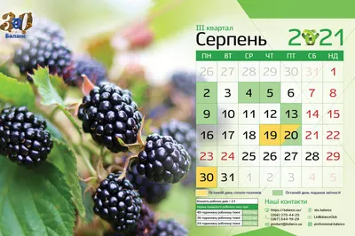 Вдохновляющие обои с календарями и цитатами на август 2023 года - Блог  издательства «Манн, Иванов и Фербер»