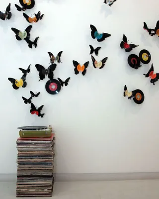 Картинки бабочек на стене фотографии