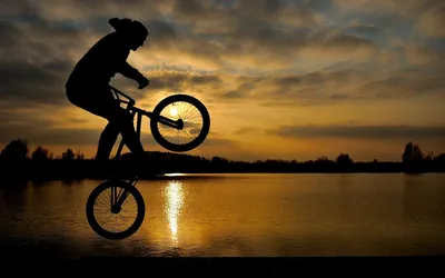 Велосипед BMX - мечта любого подростка! - FREE SPORT
