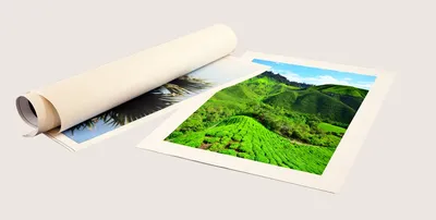Печать на холсте в Туле: цены на печать фотографий и изображений в РПК  «Прогресс»