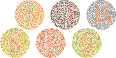 Тест на патологию цветовосприятия и дальтонизм