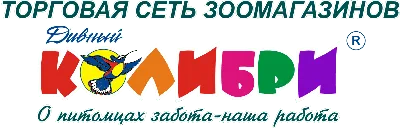 Детский сад №410 Екатеринбург Официальный сайт