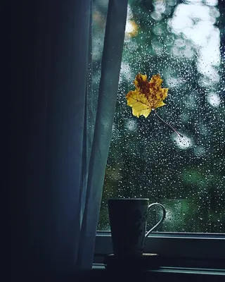 Дождь на окне стоковое фото. изображение насчитывающей середины - 154419064