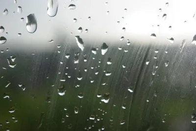Дождь за окном | Пикабу