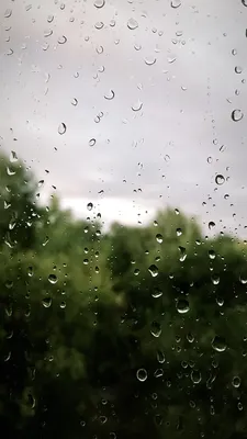 Обои дождь за окном - 57 фото