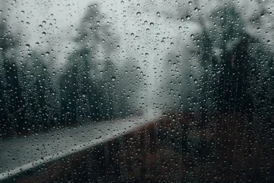 Вот и осень и дождь в окно стучится...\"