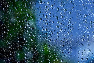 Осень. Дождь за окном. — конкурс \"Дождь (любители)\" — Фотоконкурс.ру