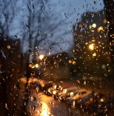 А что для тебя значит дождь ? Кроме уютного момента из окна теплой  квартиры? | С любовью к фотографии | Дзен