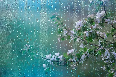 Дождь на окне стоковое фото. изображение насчитывающей конспектов - 27152080