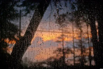 Дождь на окне - 51 фото