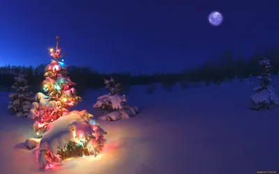 Обои Christmas Праздничные Ёлки, обои для рабочего стола, фотографии  christmas, праздничные, Ёлки, украшения, елка, рождество Обои для рабочего  стола, скачать обои картинки заставки на рабочий стол.