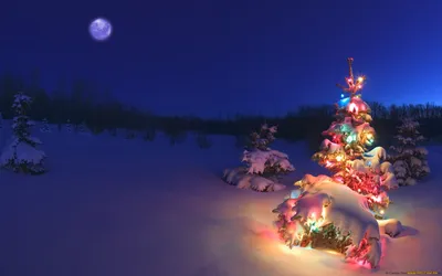 Рождественская елка обои - 71 фото