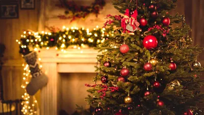 Новогодняя ёлка на рабочий стол - картинки для детей и взрослых |  Рождественские фонари, Елочные украшения, Рождество с семьей