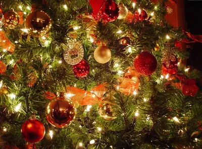 Обои на рабочий стол Красивая новогодняя елка с подарками под ней и дощечка  с надписью Merry Christmas / С рождеством, by Dalidas-Art, обои для рабочего  стола, скачать обои, обои бесплатно