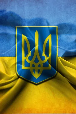 ᐉ Купить Чехол с патриотическим дизайном (флаг Украины) Silicon Case Print  Ukainian Flag для iPhone 11 по цене: 317 грн грн в интернет-магазине «СМА»
