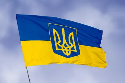 Флаг Украины с гербом 3D купить в Киеве и Украине - цена, фото в  интернет-магазине Tenti.in.ua