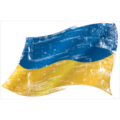 Купить флаг Украины 90х135 см | INARI