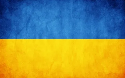 С мэрии французского города сняли флаг Украины из-за высказывания  Зеленского | Ямал-Медиа